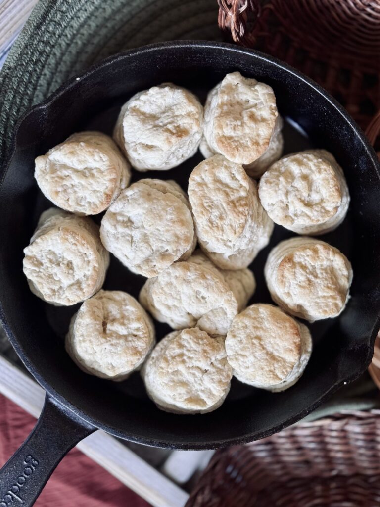 rolled sourdough discard biscuits