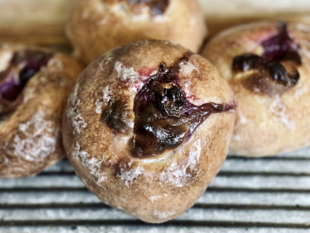 blueberry cream cheese bialy