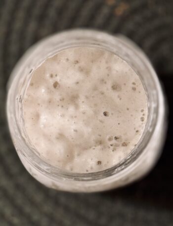 sourdough starter