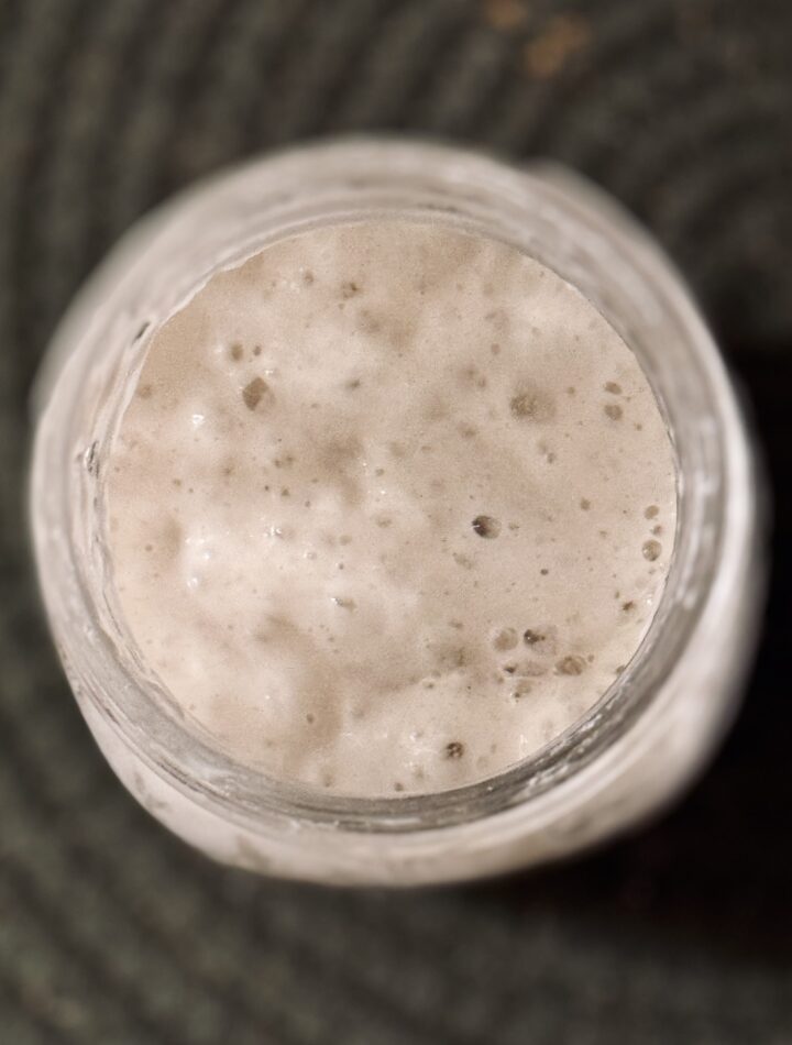 sourdough starter