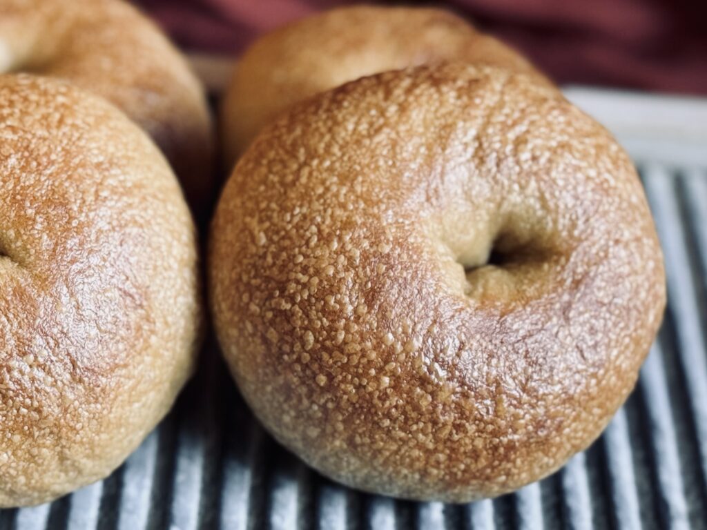 sourdough bagel