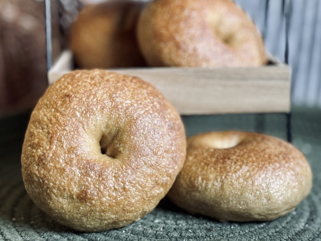 sourdough bagels