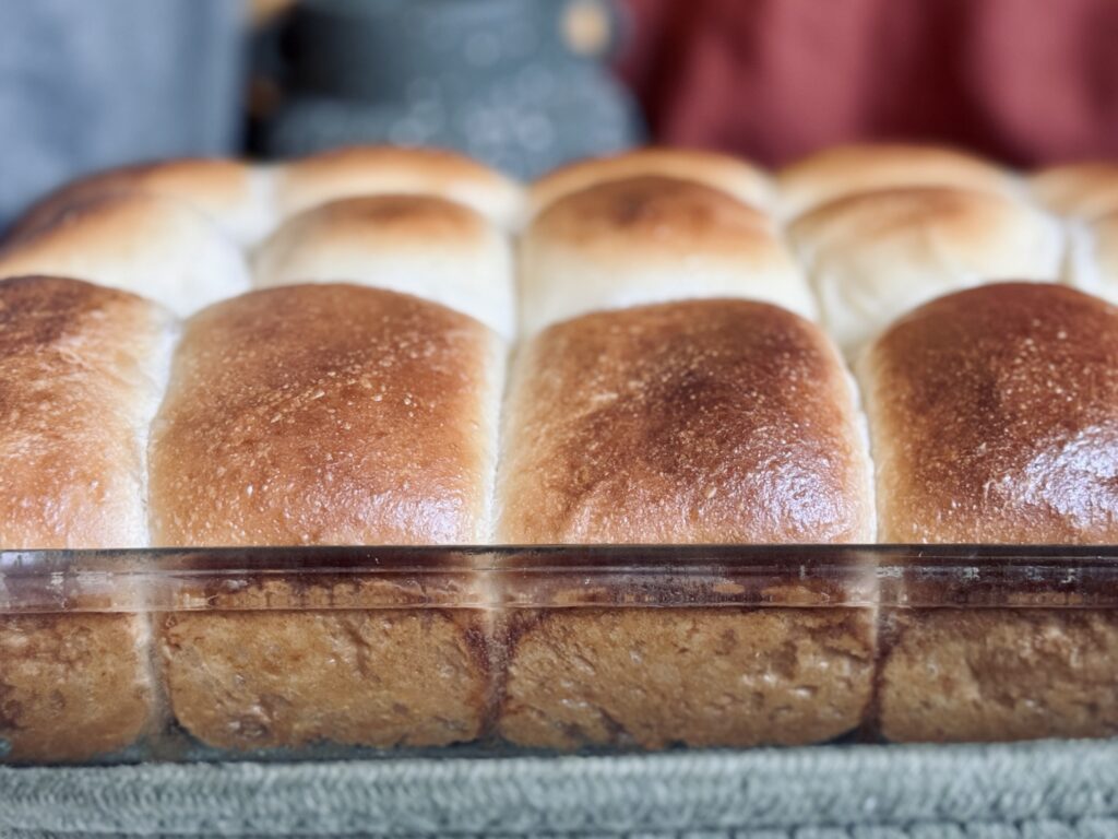 sourdough hawaiian rolls