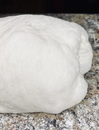 shaped sourdough bread dough